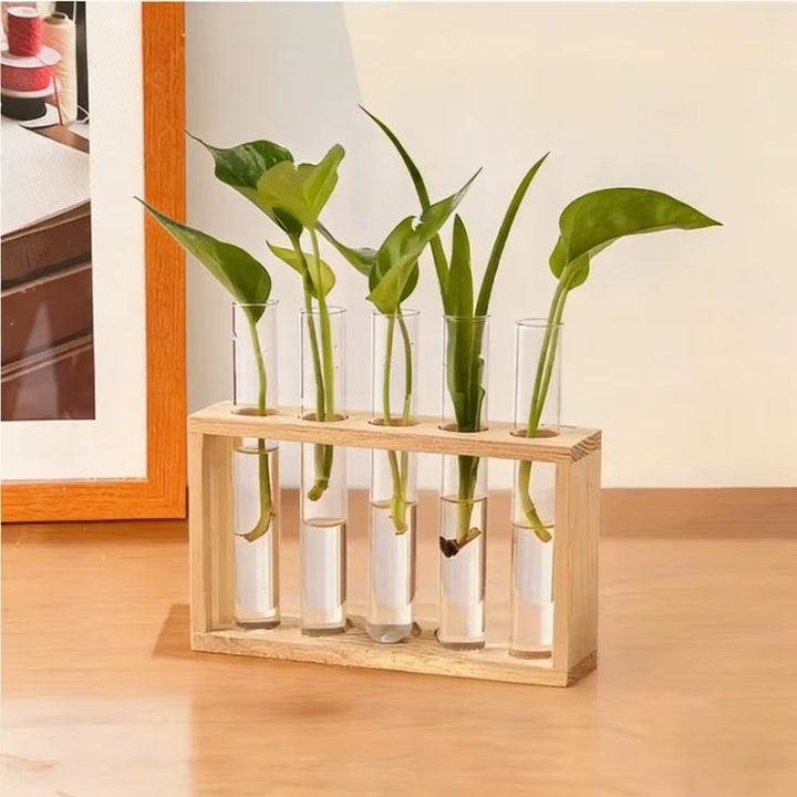 Test-Tube Plant Stand