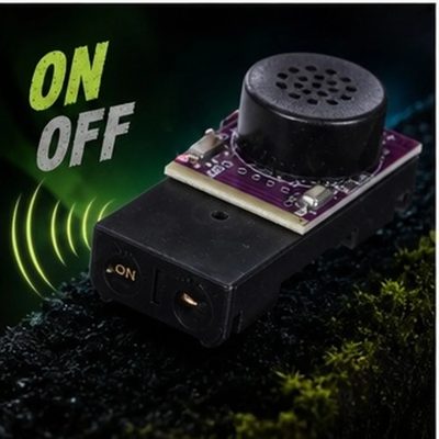 Hidden cricket noise maker