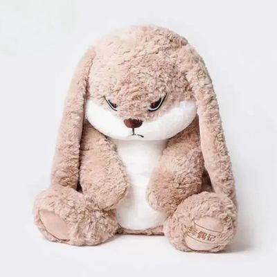 Long-Ear Bunny
