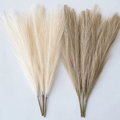 Boho Pampas Grass Stems