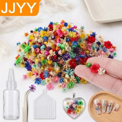 Mini Dried Flower Pack