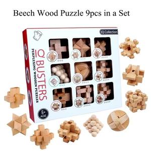 Brain Teaser Set (9)